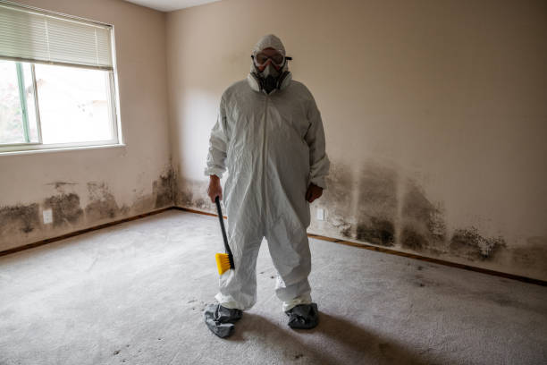 Best Residential Mold Removal  in Albion, NY